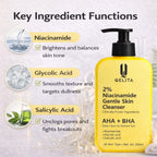 2% Niacinamide Gentle Skin Cleanser 250ml | AHA + BHA Face Wash
